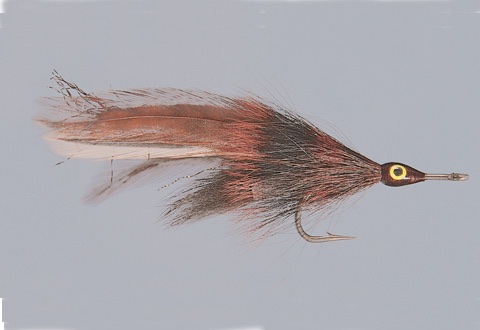 Rainy tarpon fly Rainy tarpon fly